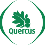 LogoQuercus