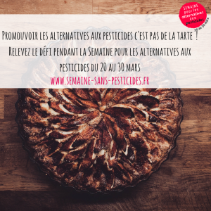 SPAP_Alimentation_tarte